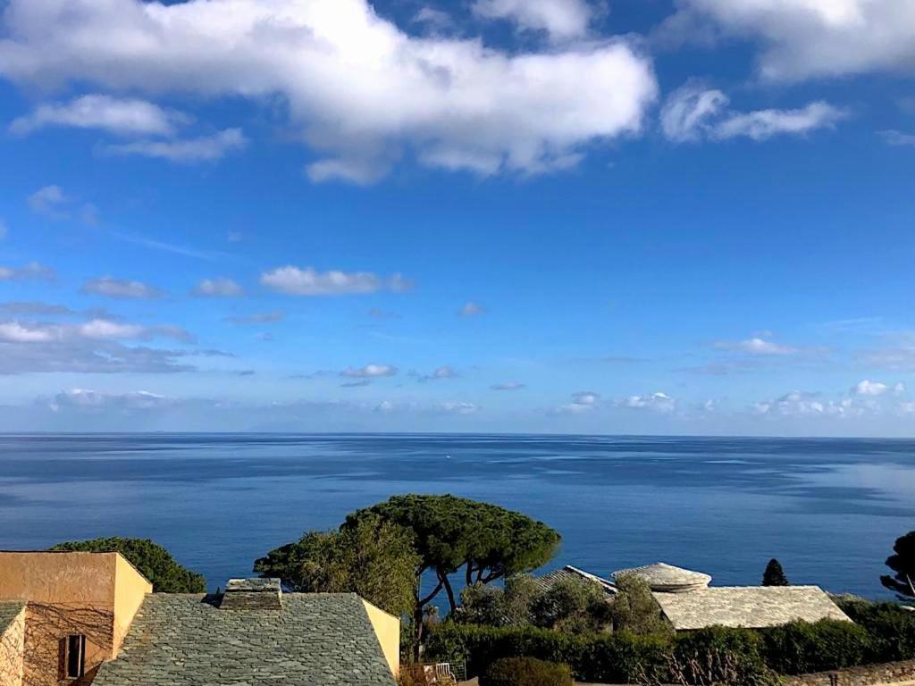 Superb Apartment With Sea View, 200M From Beach San-Martino-di-Lota Exterior foto