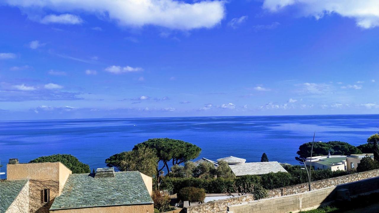 Superb Apartment With Sea View, 200M From Beach San-Martino-di-Lota Exterior foto